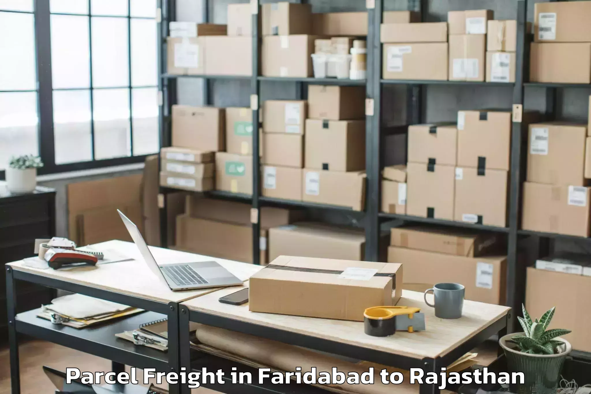 Professional Faridabad to Sanganeer Airport Jai Parcel Freight